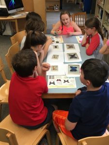 Third Graders apply what they’ve learned about variation and adaptation as they identify butterfly defense strategies using specimens from the world famous Denton Butterfly Collection from the Wellesley Historical Society.